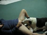 [ Zoophilia Sex ] Woman can&#039;t live without to acquire fellatio sex from her dog